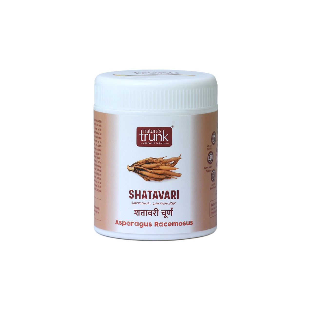 Picture of Nature's Trunk Shatavari Powder -175 g