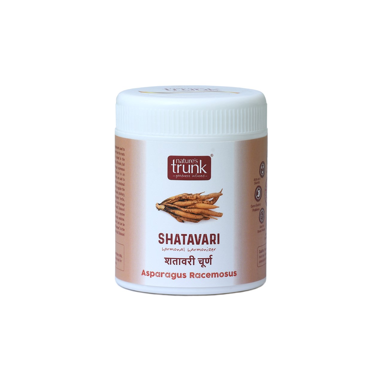 Show details for Nature's Trunk Shatavari Powder -175 g Picture of Nature's Trunk Shatavari Powder -175 g