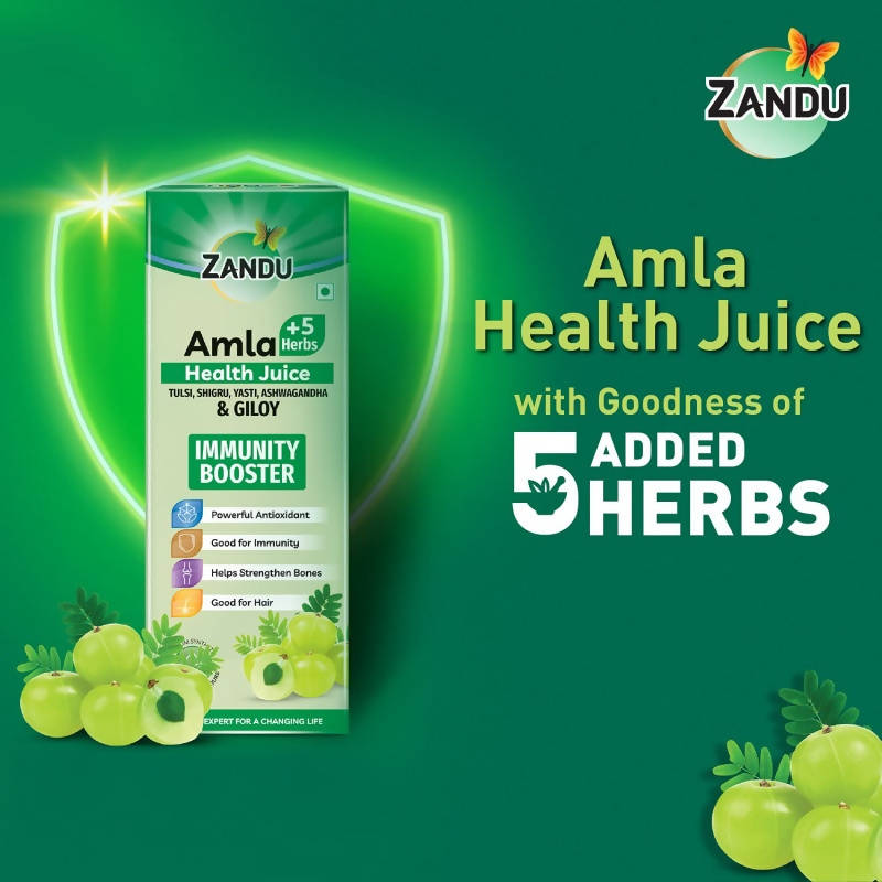 Picture of Zandu Amla + 5 Herbs Health Juice - 500 ml