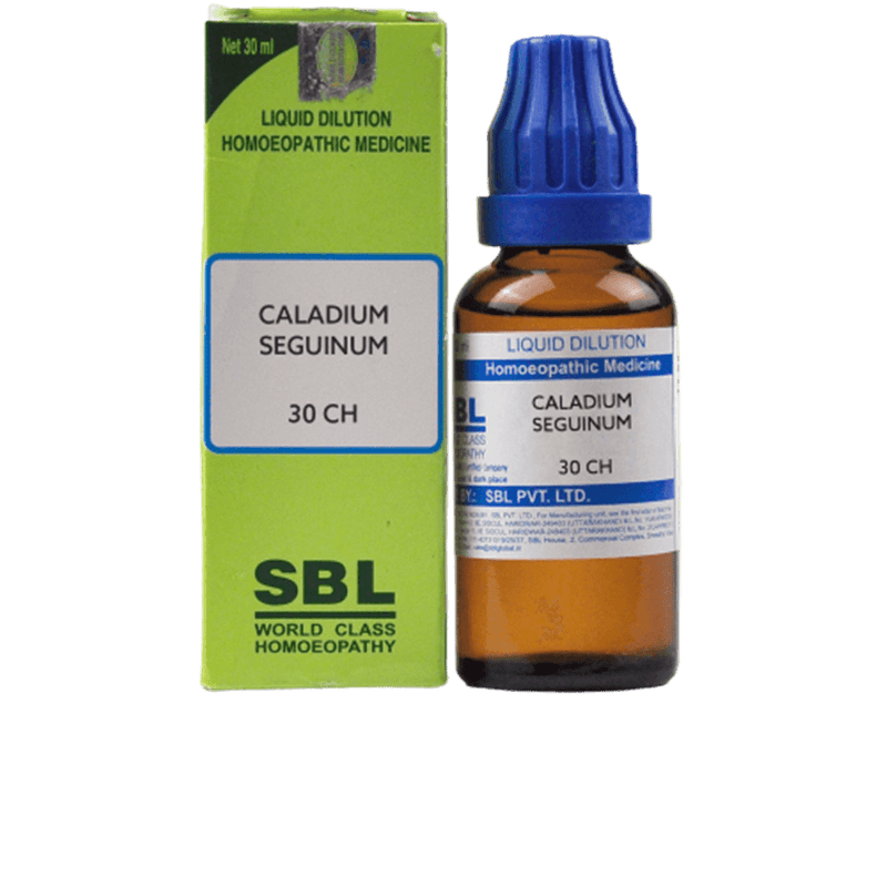 Picture of SBL Homeopathy Caladium Seguinum Dilution - 30 ml