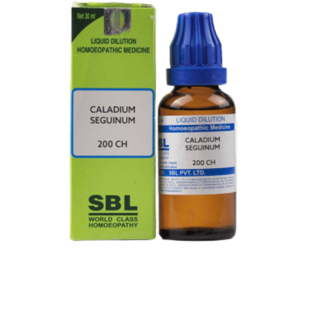 Picture of SBL Homeopathy Caladium Seguinum Dilution - 30 ml