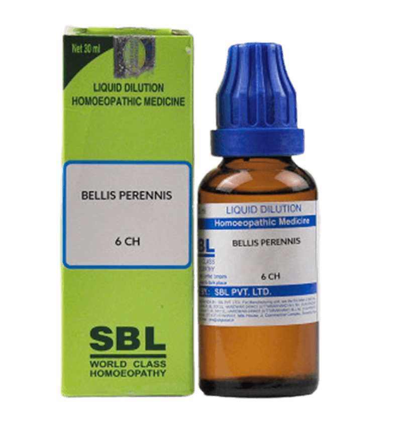 Picture of SBL Homeopathy Bellis Perennis Dilution - 30 ml