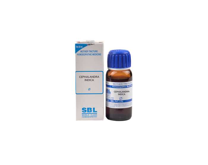 Show details for SBL Homeopathy Cephalandra Indica Mother Tincture Q Picture of SBL Homeopathy Cephalandra Indica Mother Tincture Q