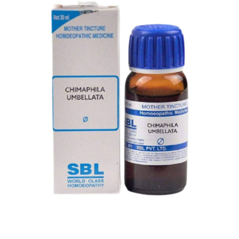 Show details for SBL Homeopathy Chimaphila Umbellata Mother Tincture Q - 30 ml Picture of SBL Homeopathy Chimaphila Umbellata Mother Tincture Q - 30 ml