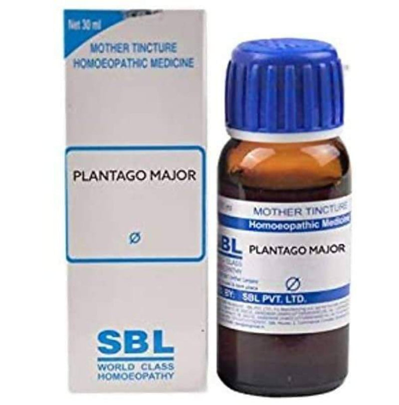 Show details for SBL Homeopathy Plantago Major Mother Tincture Q - 30 ml  Picture of SBL Homeopathy Plantago Major Mother Tincture Q - 30 ml