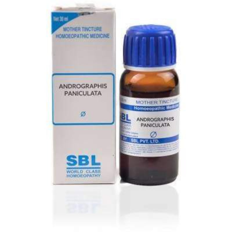 Picture of SBL Homeopathy Andrographis Paniculata Mother Tincture Q - 30 ml