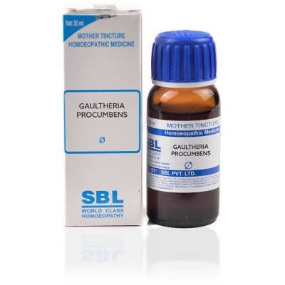 Picture of SBL Homeopathy Gaultheria Procumbens Mother Tincture Q - 30 ml