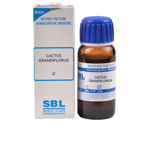 Show details for SBL Homeopathy Cactus Grandiflorus Mother Tincture Q - 30 ML Picture of SBL Homeopathy Cactus Grandiflorus Mother Tincture Q - 30 ML