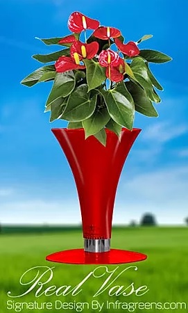 Show details for Real Vases Picture of Real Vases