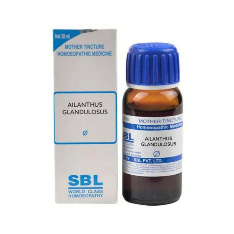 Show details for SBL Homeopathy Ailanthus Glandulosa Mother Tincture Q - 30 ml Picture of SBL Homeopathy Ailanthus Glandulosa Mother Tincture Q - 30 ml