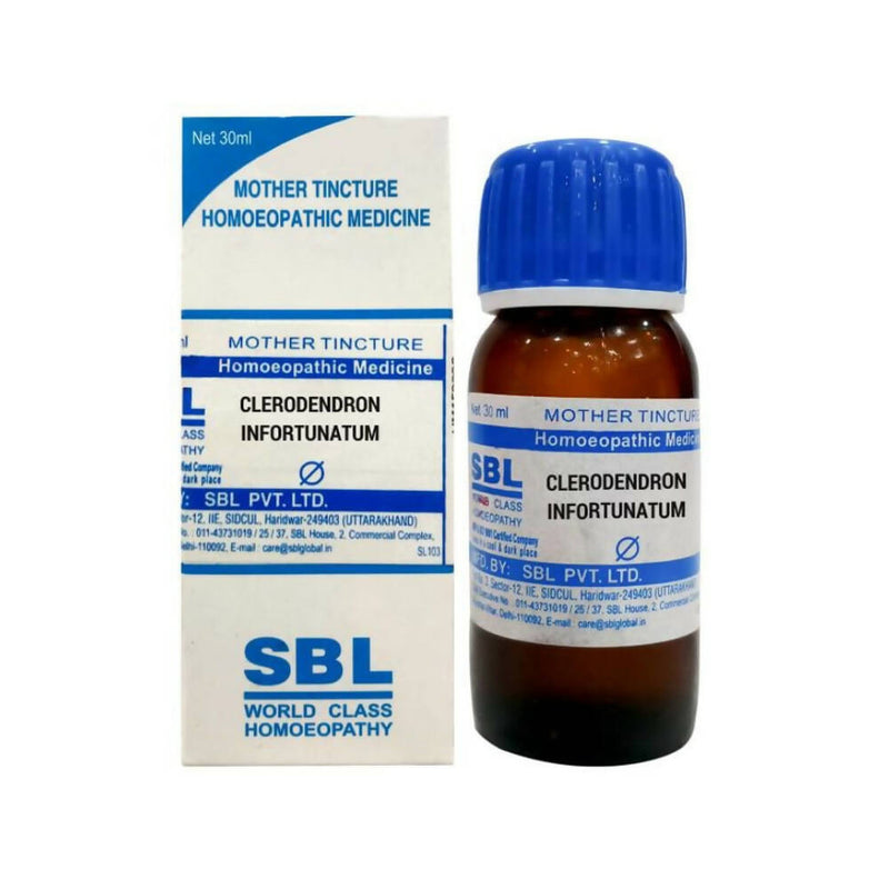 Show details for SBL Homeopathy Clerodendron Infortunatum Mother Tincture Q - 30 ml Picture of SBL Homeopathy Clerodendron Infortunatum Mother Tincture Q - 30 ml