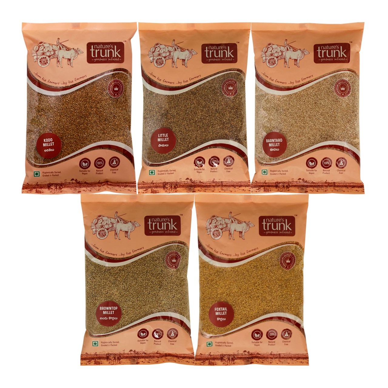 Show details for Nature's Trunk Natural and Unpolished Millets | Powerhouse of Nutrition’s (Each-500g) Mixed Millet  (2500 g, Pack of 5) Picture of Nature's Trunk Natural and Unpolished Millets | Powerhouse of Nutrition’s (Each-500g) Mixed Millet  (2500 g, Pack of 5)