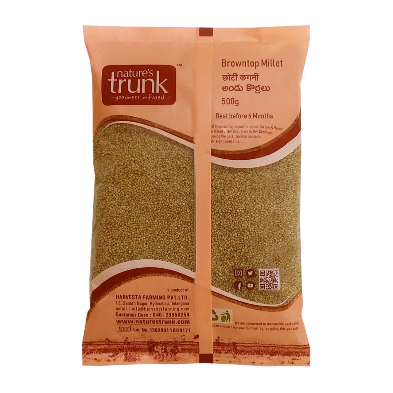 Picture of Nature's Trunk Natural and Unpolished Millets | Powerhouse of Nutrition’s (Each-500g) Mixed Millet  (2500 g, Pack of 5)
