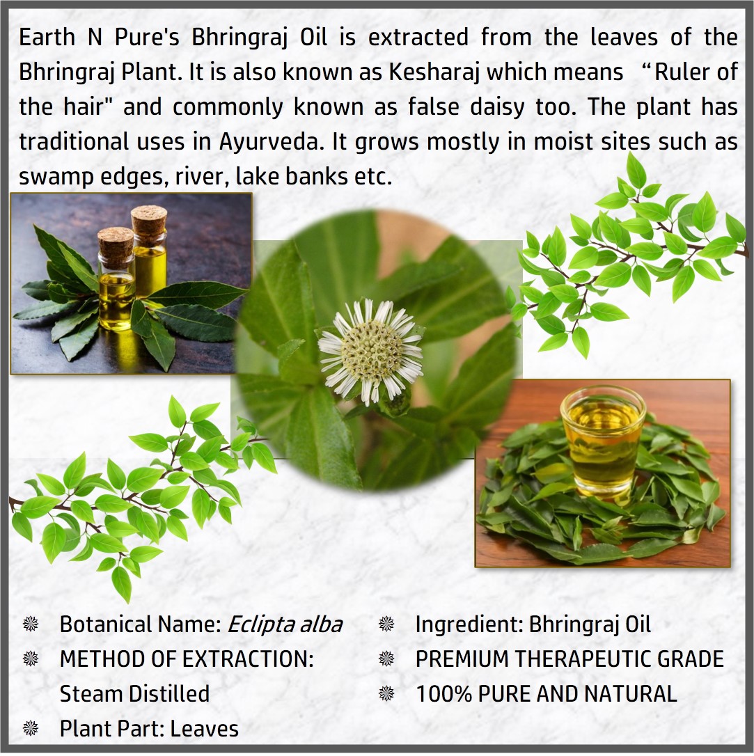 Picture of EARTH N PURE - Bhringraj Oil – 100 Ml