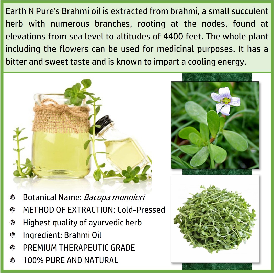 Picture of EARTH N PURE - Brahmi Oil – 30 Ml