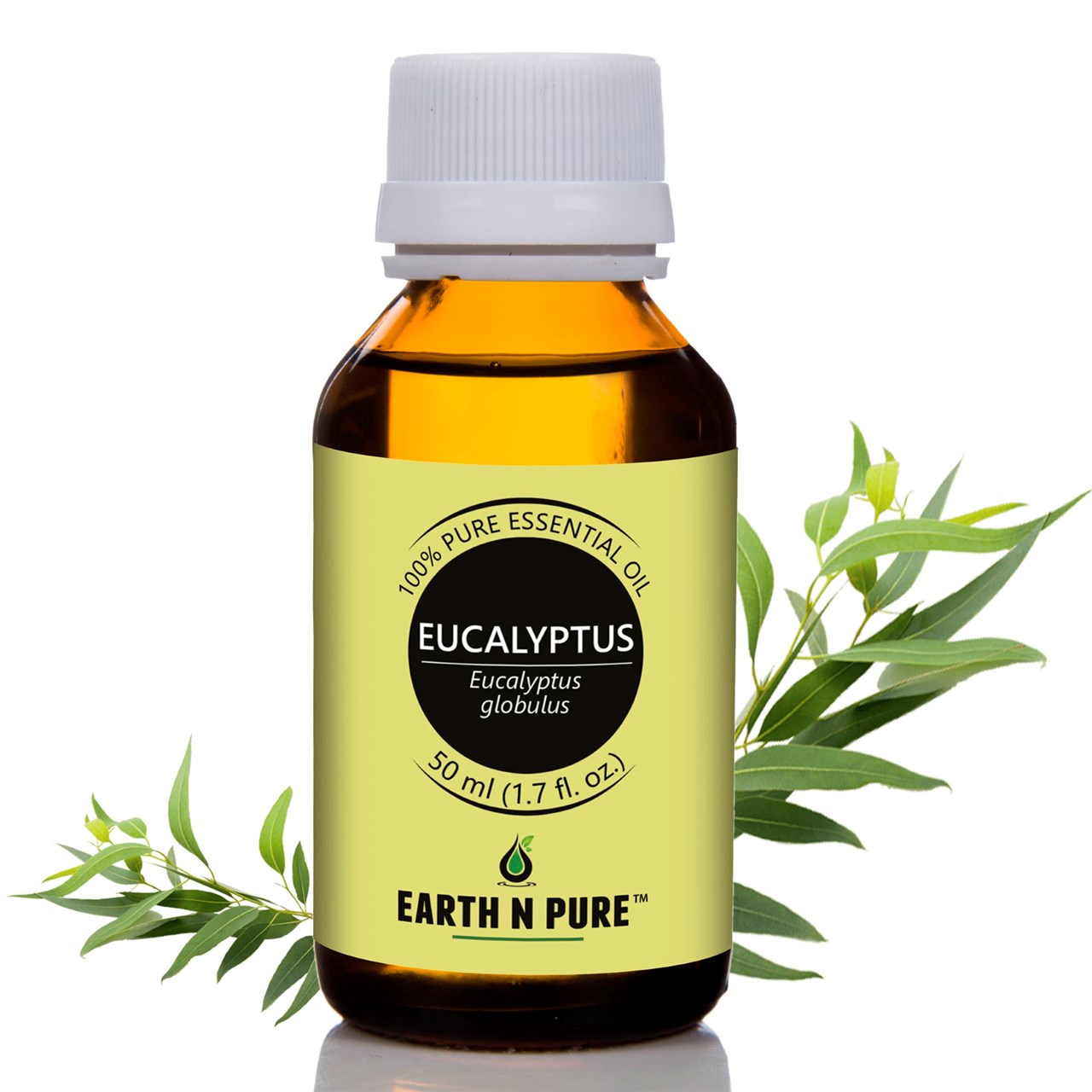 Show details for EARTH N PURE - Eucalyptus Oil – 50 Ml Picture of EARTH N PURE - Eucalyptus Oil – 50 Ml