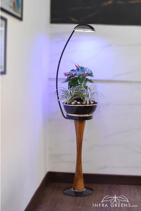Show details for Wall Side Vases Picture of Wall Side Vases