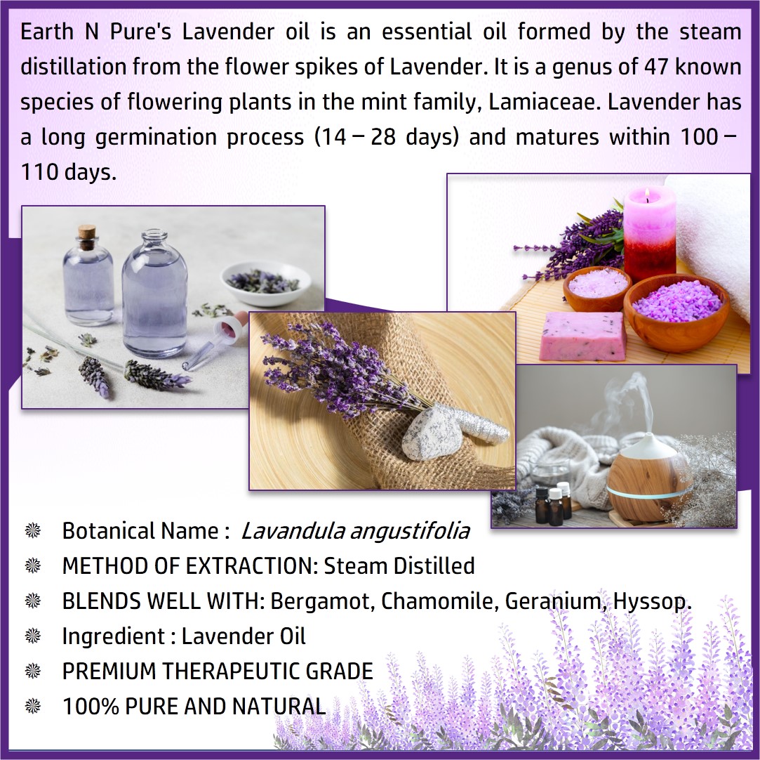 Picture of EARTH N PURE - Lavender Oil- 30 Ml