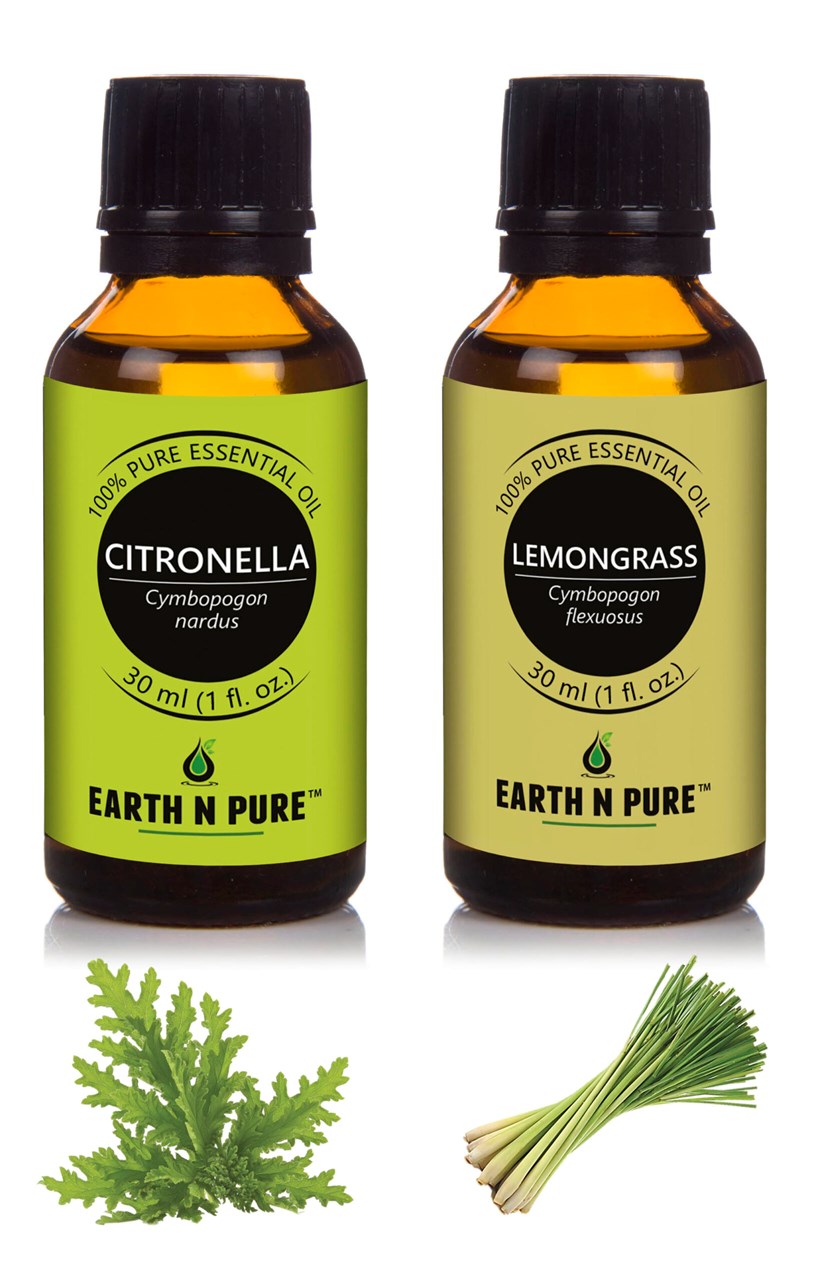 Show details for EARTH N PURE - Oils Pack Of 2 (30 Ml Each) Picture of EARTH N PURE - Oils Pack Of 2 (30 Ml Each)