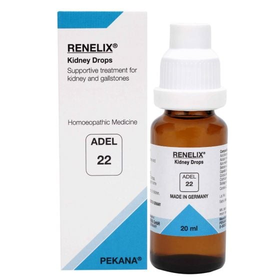Show details for ADEL - 22 Kidney Drops - 20 ml Picture of ADEL - 22 Kidney Drops - 20 ml