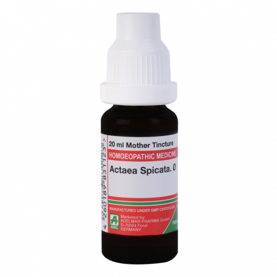 Show details for ADEL Actaea Spicata Mother Tincture Q - 20 ml Picture of ADEL Actaea Spicata Mother Tincture Q - 20 ml