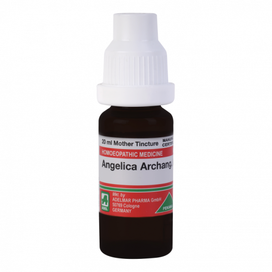 Picture of ADEL Angelica Archang Mother Tincture Q - 20 ml