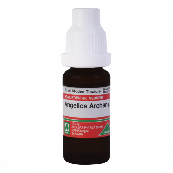 Show details for ADEL Angelica Archang Mother Tincture Q - 20 ml Picture of ADEL Angelica Archang Mother Tincture Q - 20 ml