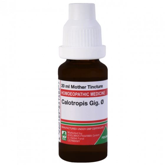 Show details for ADEL Calotropis Gig Mother Tincture Q - 20 ml Picture of ADEL Calotropis Gig Mother Tincture Q - 20 ml