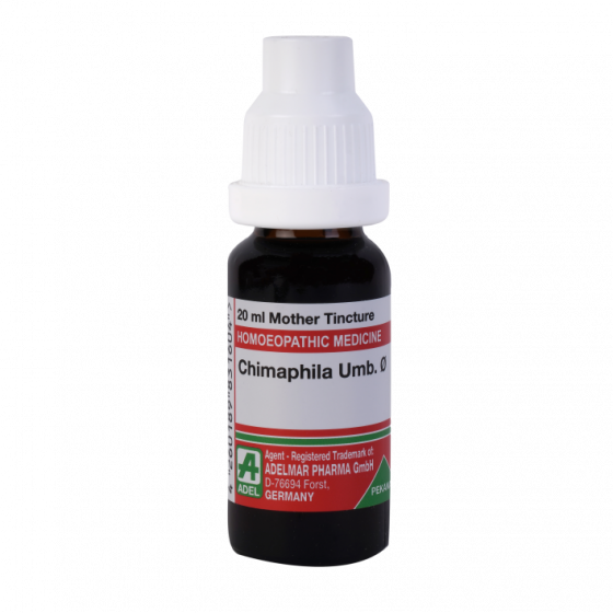 Show details for ADEL Chimaphila Umb Mother Tincture Q - 20 ml Picture of ADEL Chimaphila Umb Mother Tincture Q - 20 ml