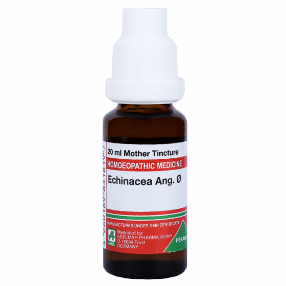 Picture of ADEL Echinacea Ang Mother Tincture Q - 20 ml