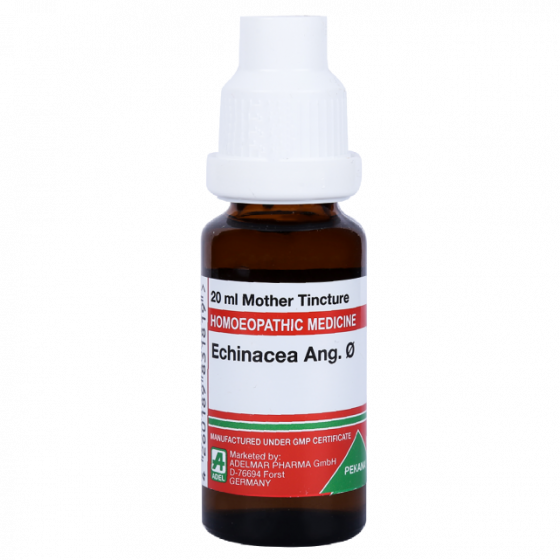 Show details for ADEL Echinacea Ang Mother Tincture Q - 20 ml Picture of ADEL Echinacea Ang Mother Tincture Q - 20 ml