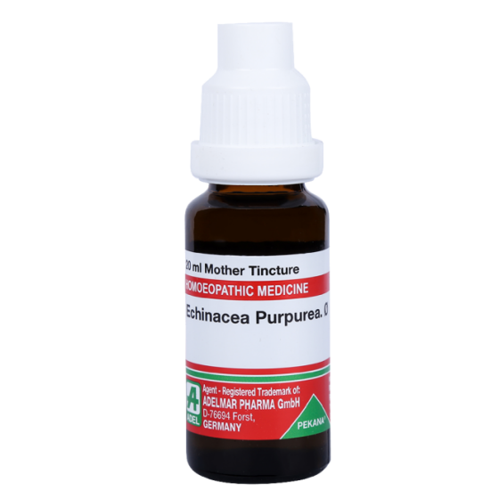 Show details for ADEL Echinacea Purpurea Mother Tincture Q - 20 ml Picture of ADEL Echinacea Purpurea Mother Tincture Q - 20 ml