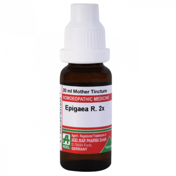 Show details for ADEL Epigaea R 2x Mother Tincture Q - 20 ml Picture of ADEL Epigaea R 2x Mother Tincture Q - 20 ml