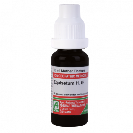 Show details for ADEL Equisetum H Mother Tincture Q - 20 ml Picture of ADEL Equisetum H Mother Tincture Q - 20 ml