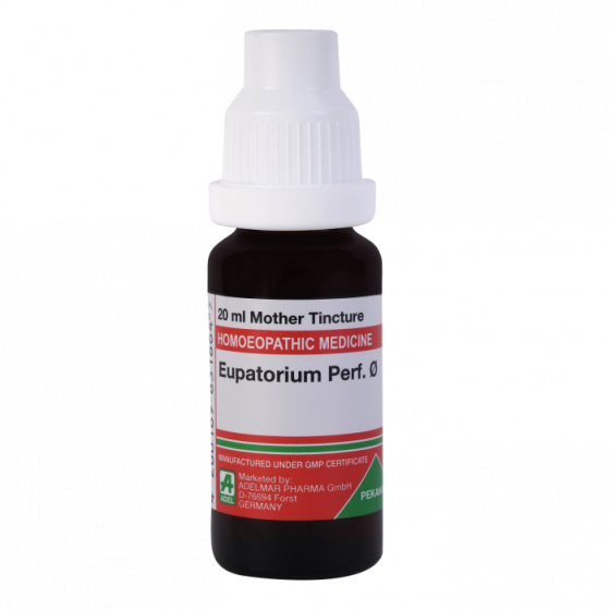 Show details for ADEL Eupatorium Perf Mother Tincture Q - 20 ml Picture of ADEL Eupatorium Perf Mother Tincture Q - 20 ml