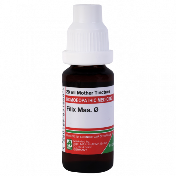 Show details for ADEL Filix Mas Mother Tincture Q - 20 ml Picture of ADEL Filix Mas Mother Tincture Q - 20 ml