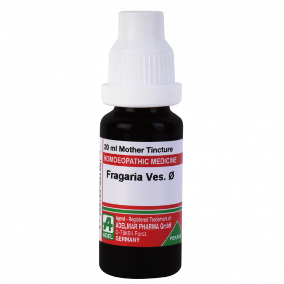 Picture of ADEL Fragaria Ves Mother Tincture Q - 20 ml