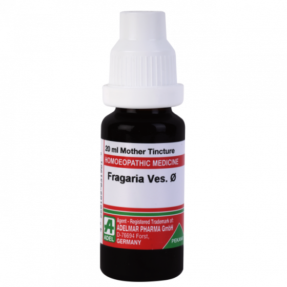 Show details for ADEL Fragaria Ves Mother Tincture Q - 20 ml Picture of ADEL Fragaria Ves Mother Tincture Q - 20 ml
