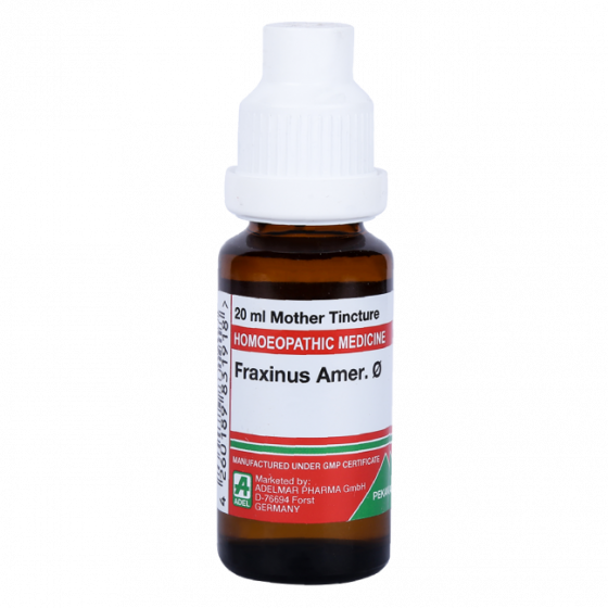 Picture of ADEL Fraxinus Amer Mother Tincture Q - 20 ml