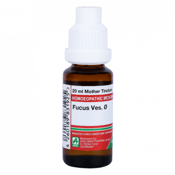 Show details for ADEL Fucus Ves Mother Tincture Q - 20 ml Picture of ADEL Fucus Ves Mother Tincture Q - 20 ml