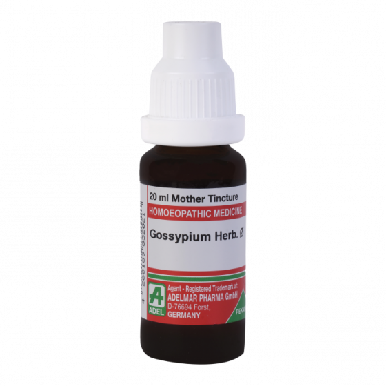 Show details for ADEL Gossypium Herb Mother Tincture Q - 20 ml Picture of ADEL Gossypium Herb Mother Tincture Q - 20 ml