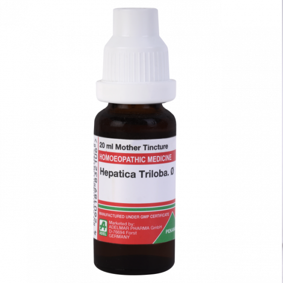 Picture of ADEL Hepatica Triloba Mother Tincture Q - 20 ml