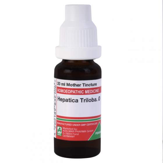 Show details for ADEL Hepatica Triloba Mother Tincture Q - 20 ml Picture of ADEL Hepatica Triloba Mother Tincture Q - 20 ml