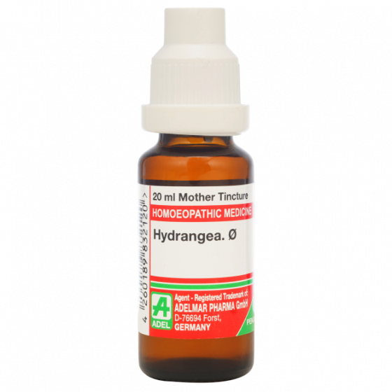 Show details for ADEL Hydrangea Mother Tincture Q - 20 ml Picture of ADEL Hydrangea Mother Tincture Q - 20 ml