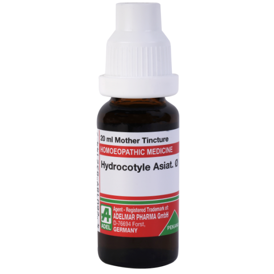 Show details for ADEL Hydrocotyle Asiat Mother Tincture - 20 ml Picture of ADEL Hydrocotyle Asiat Mother Tincture - 20 ml