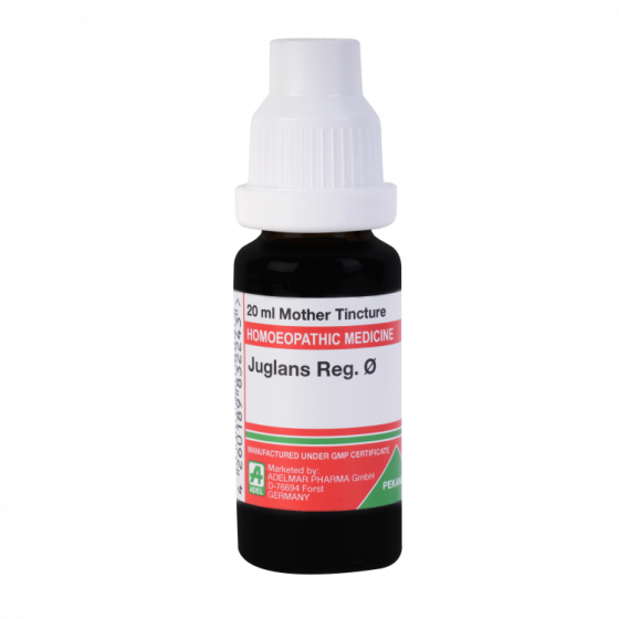 Show details for ADEL Juglans Reg Mother Tincture Q - 20 ml Picture of ADEL Juglans Reg Mother Tincture Q - 20 ml