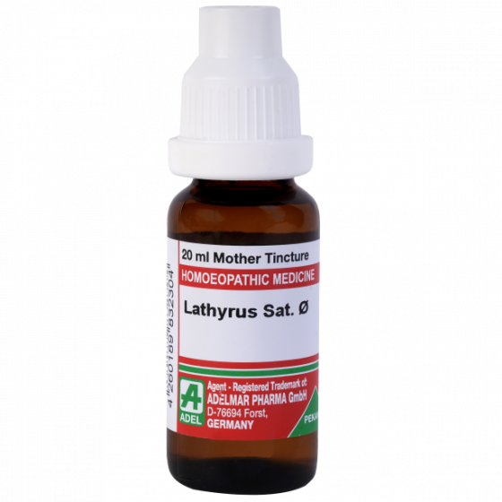 Show details for ADEL Lathyrus Sat Mother Tincture Q - 20 ml Picture of ADEL Lathyrus Sat Mother Tincture Q - 20 ml
