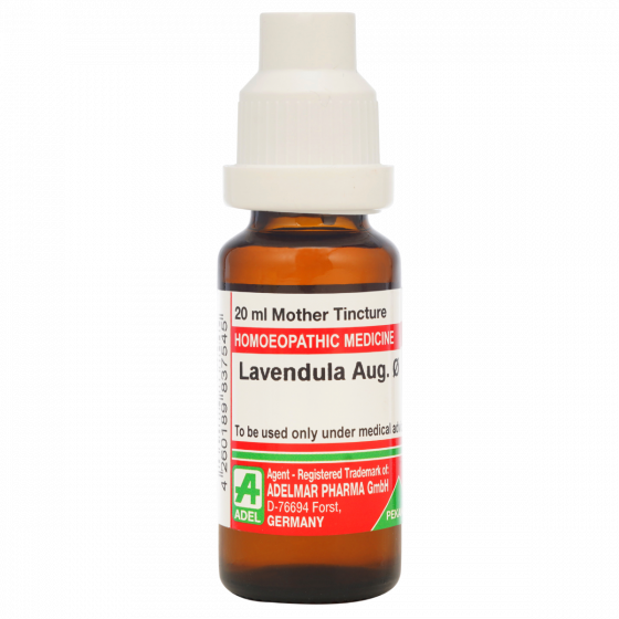 Show details for ADEL Lavendula Aug Mother Tincture Q - 20 ml Picture of ADEL Lavendula Aug Mother Tincture Q - 20 ml