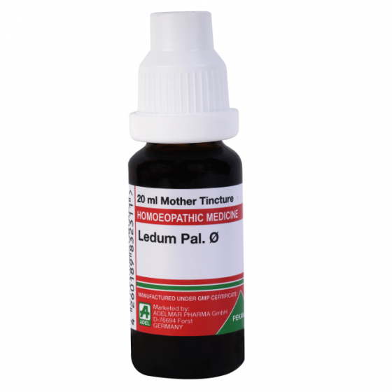Show details for ADEL Ledum Pal Mother Tincture Q - 20 ml Picture of ADEL Ledum Pal Mother Tincture Q - 20 ml