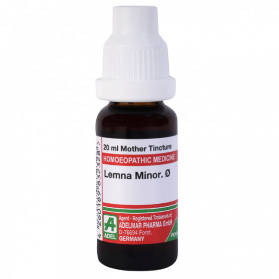 Show details for ADEL Lemna Minor Mother Tincture Q - 20 ml Picture of ADEL Lemna Minor Mother Tincture Q - 20 ml